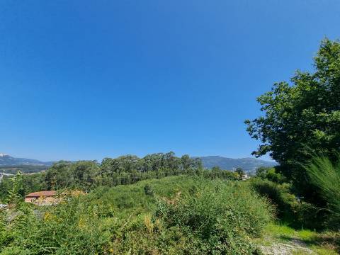 Terreno na Ribeira com de 1,46 Hectares