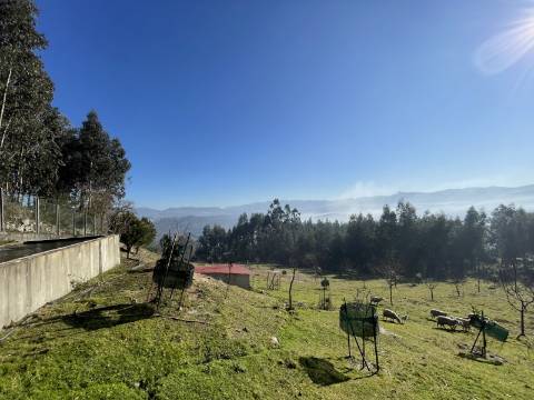 Terreno para Projeto de Turismo em Arcos de Valdevez
