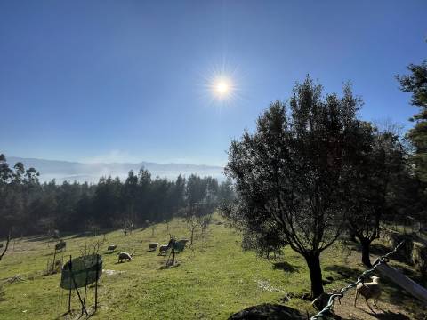 Terreno para Projeto de Turismo em Arcos de Valdevez