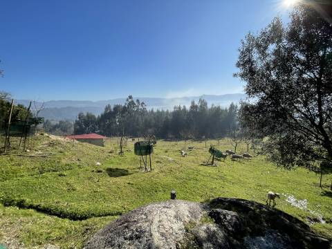 Terreno para Projeto de Turismo em Arcos de Valdevez
