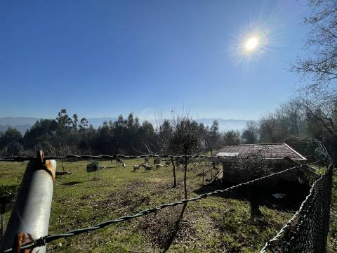 Terreno para Projeto de Turismo em Arcos de Valdevez