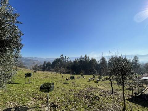 Terreno para Projeto de Turismo em Arcos de Valdevez