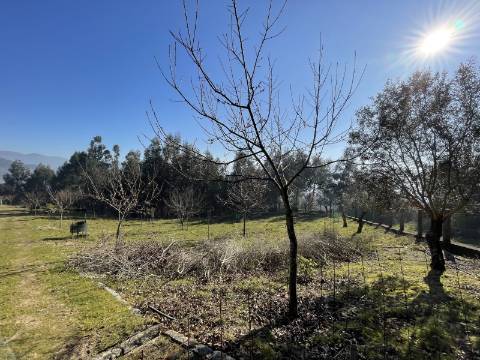 Terreno para Projeto de Turismo em Arcos de Valdevez