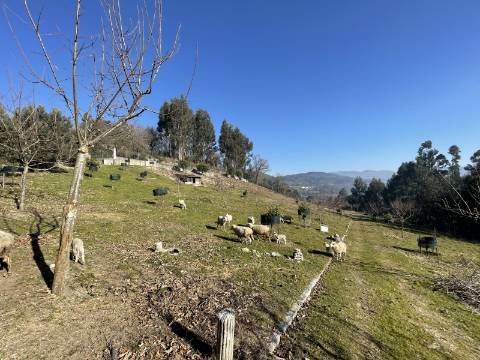 Terreno para Projeto de Turismo em Arcos de Valdevez