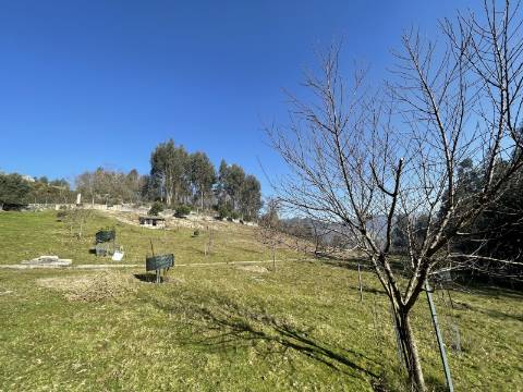 Terreno para Projeto de Turismo em Arcos de Valdevez