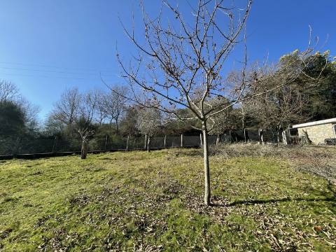 Terreno para Projeto de Turismo em Arcos de Valdevez
