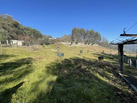 Terreno para Projeto de Turismo em Arcos de Valdevez