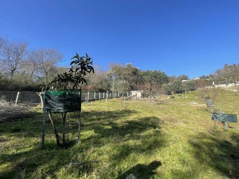 Terreno para Projeto de Turismo em Arcos de Valdevez