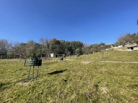 Terreno para Projeto de Turismo em Arcos de Valdevez
