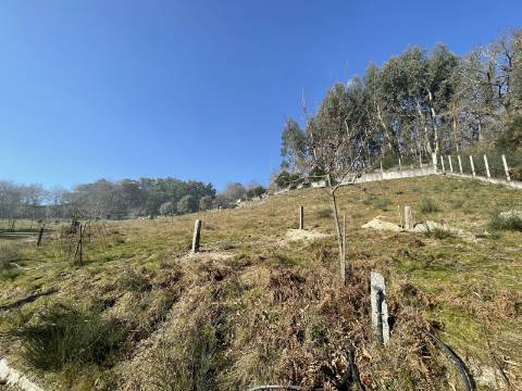 Terreno para Projeto de Turismo em Arcos de Valdevez