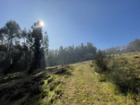 Terreno para Projeto de Turismo em Arcos de Valdevez