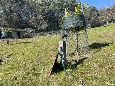 Terreno para Projeto de Turismo em Arcos de Valdevez