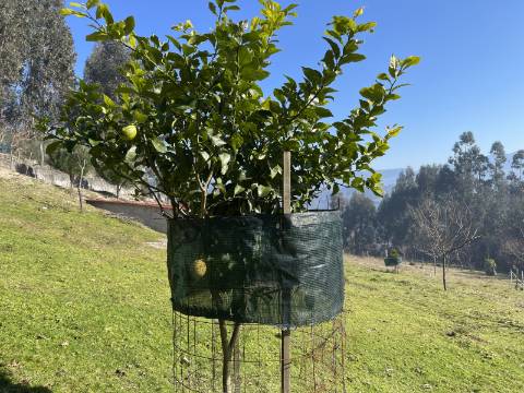 Terreno para Projeto de Turismo em Arcos de Valdevez