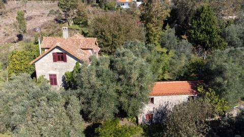 Oportunidade Única : Quinta com Potencial de Desenvolvimento e Vista para o Mar - 375.000€