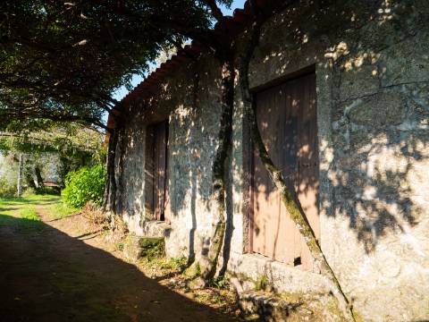 Oportunidade Única : Quinta com Potencial de Desenvolvimento e Vista para o Mar - 375.000€