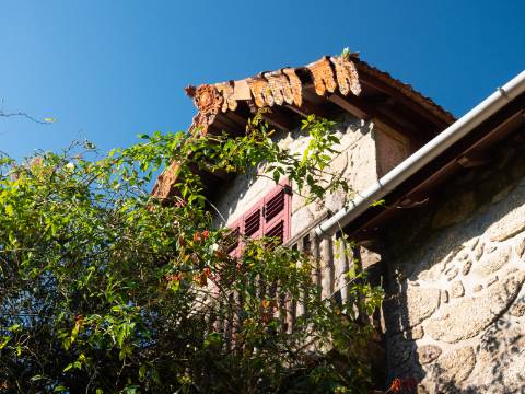 Oportunidade Única : Quinta com Potencial de Desenvolvimento e Vista para o Mar - 375.000€