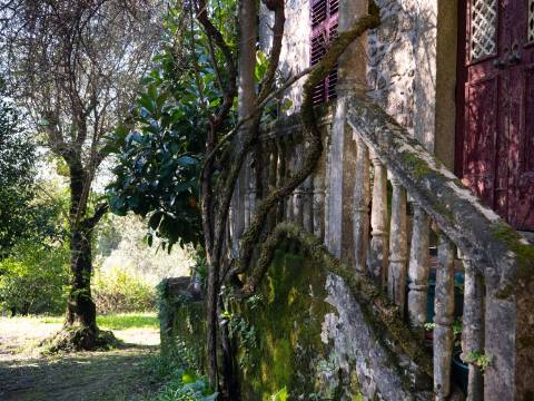 Oportunidade Única : Quinta com Potencial de Desenvolvimento e Vista para o Mar - 375.000€