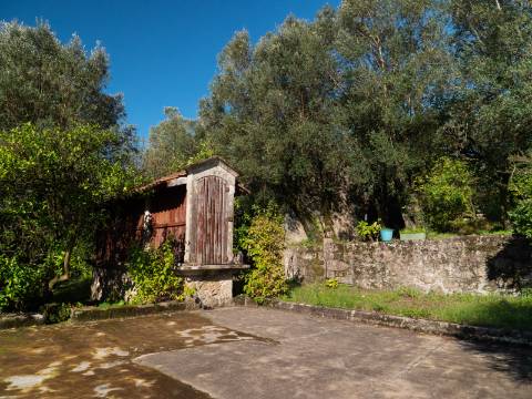 Oportunidade Única : Quinta com Potencial de Desenvolvimento e Vista para o Mar - 375.000€