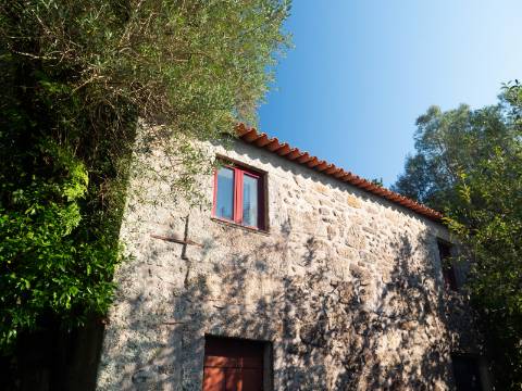 Oportunidade Única : Quinta com Potencial de Desenvolvimento e Vista para o Mar - 375.000€