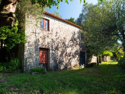 Oportunidade Única : Quinta com Potencial de Desenvolvimento e Vista para o Mar - 375.000€