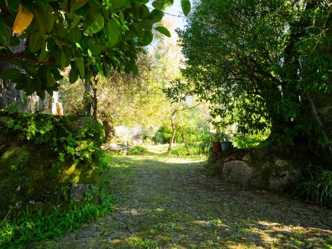 Oportunidade Única : Quinta com Potencial de Desenvolvimento e Vista para o Mar - 375.000€