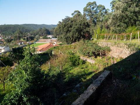 Oportunidade Única : Quinta com Potencial de Desenvolvimento e Vista para o Mar - 375.000€