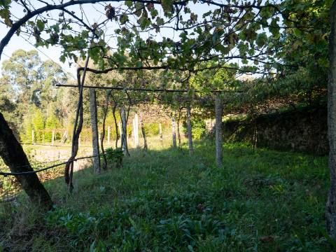 Oportunidade Única : Quinta com Potencial de Desenvolvimento e Vista para o Mar - 375.000€