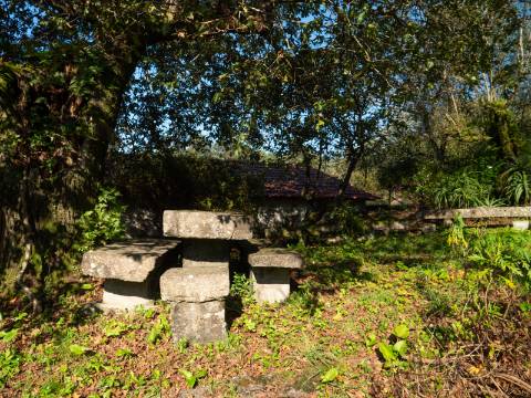 Oportunidade Única : Quinta com Potencial de Desenvolvimento e Vista para o Mar - 375.000€