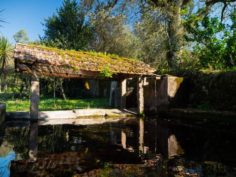 Oportunidade Única : Quinta com Potencial de Desenvolvimento e Vista para o Mar - 375.000€