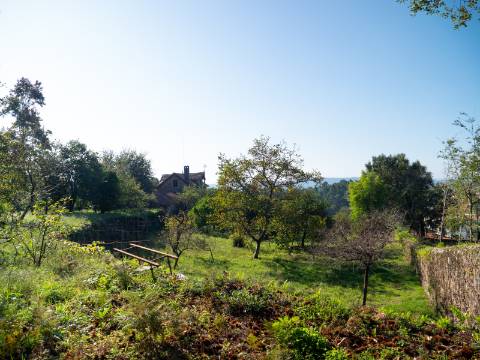 Oportunidade Única : Quinta com Potencial de Desenvolvimento e Vista para o Mar - 375.000€