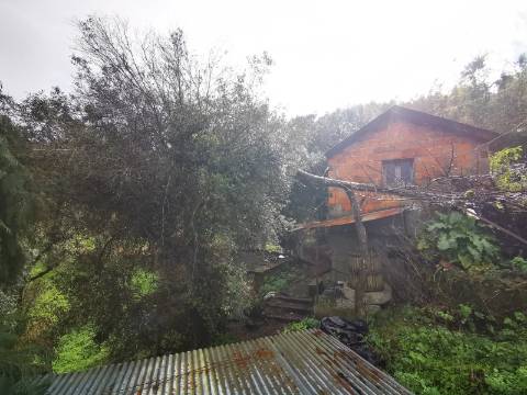 Moradia para Restauro em Ponte de Lima