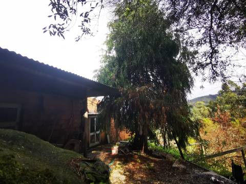 Moradia para Restauro em Ponte de Lima