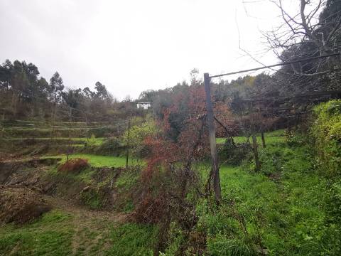 Moradia para Restauro em Ponte de Lima