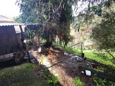 Moradia para Restauro em Ponte de Lima