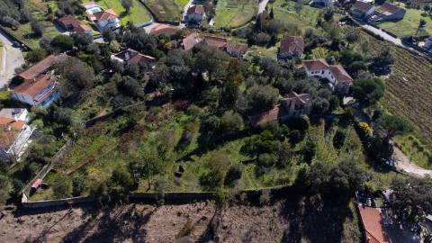 Quinta T6 com Projeto de Turismo Rural Aprovado em Portela Susã, Ponte de Lima
