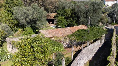 Quinta T6 com Projeto de Turismo Rural Aprovado em Portela Susã, Ponte de Lima
