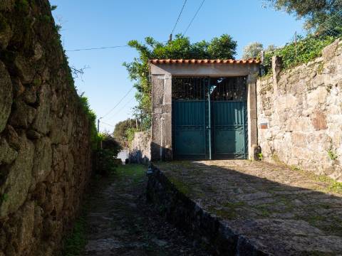 Quinta T6 com Projeto de Turismo Rural Aprovado em Portela Susã, Ponte de Lima
