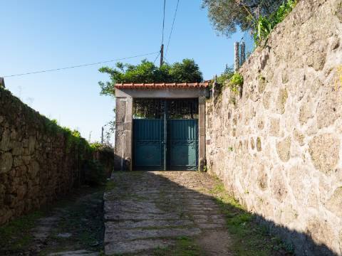 Quinta T6 com Projeto de Turismo Rural Aprovado em Portela Susã, Ponte de Lima
