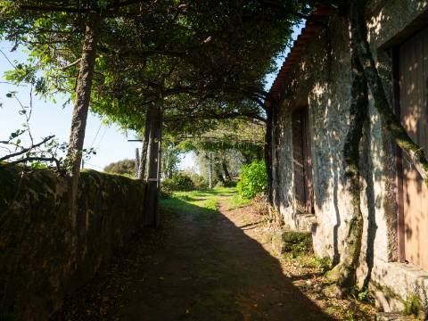 Quinta T6 com Projeto de Turismo Rural Aprovado em Portela Susã, Ponte de Lima
