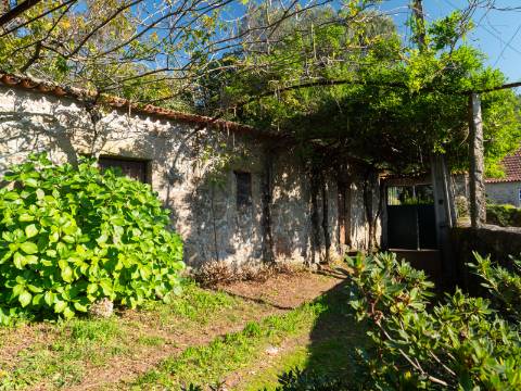 Quinta T6 com Projeto de Turismo Rural Aprovado em Portela Susã, Ponte de Lima
