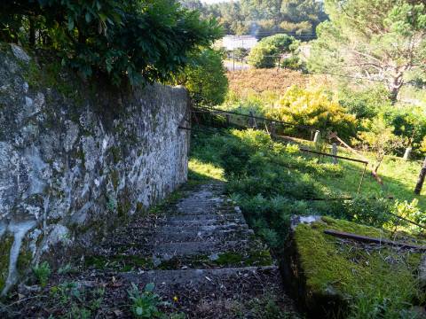 Quinta T6 com Projeto de Turismo Rural Aprovado em Portela Susã, Ponte de Lima
