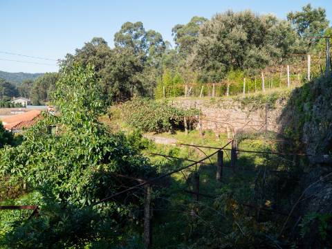 Quinta T6 com Projeto de Turismo Rural Aprovado em Portela Susã, Ponte de Lima
