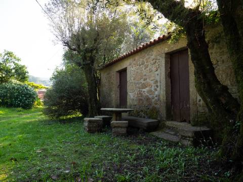 Quinta T6 com Projeto de Turismo Rural Aprovado em Portela Susã, Ponte de Lima
