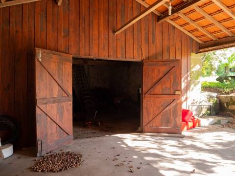 Quinta T6 com Projeto de Turismo Rural Aprovado em Portela Susã, Ponte de Lima
