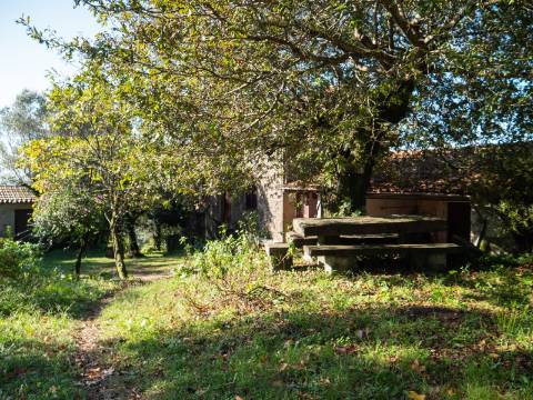 Quinta T6 com Projeto de Turismo Rural Aprovado em Portela Susã, Ponte de Lima
