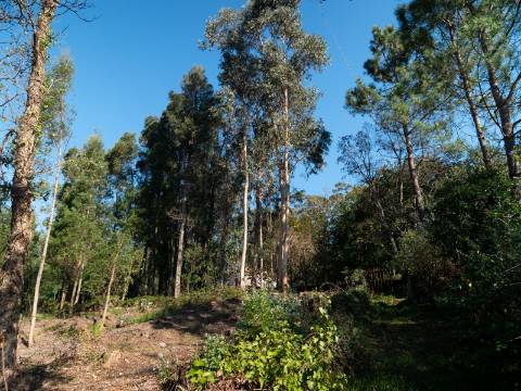 Quinta T6 com Projeto de Turismo Rural Aprovado em Portela Susã, Ponte de Lima
