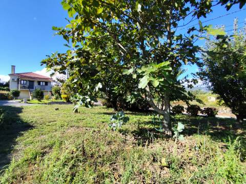 Moradia T4 no mercado