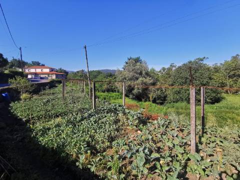Terreno de Construção