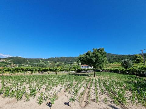 Moradia Espetacular T4 em Gondufe