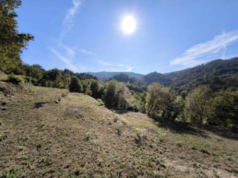 Ruína com terreno num local isolado